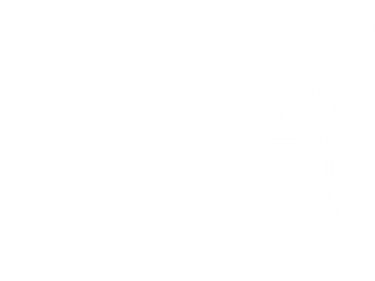 White Bird